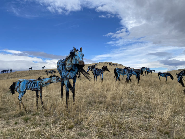 Montana’s beloved ‘Bleu Horses’ turn 10 years old